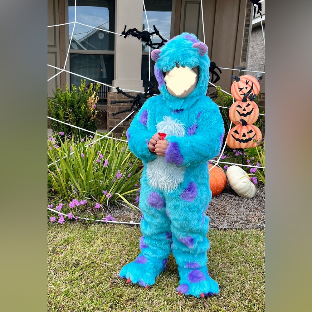 Pottery Barn Kids - monster inc costume